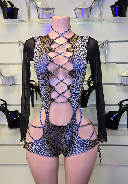 10C Body Agata