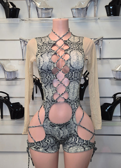 10C Body Agata